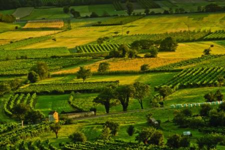 Tematska pot po Erzelju – Med zaselki in studenci 1